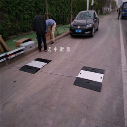 动态称重仪报价 厂家