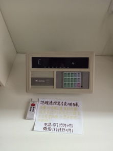 有地磅无线遥控器吗,有地磅无线遥控器吗,有地磅无线